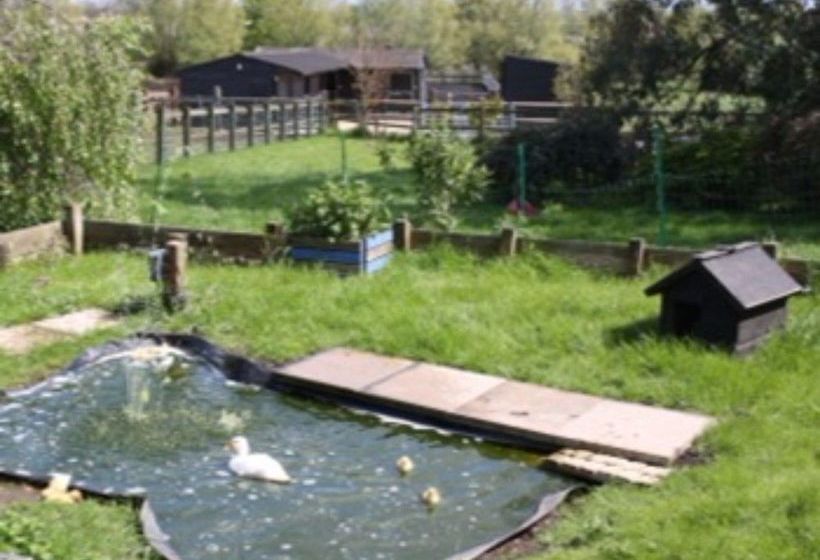 The Old School B&b 14