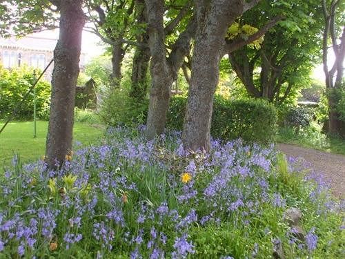 Carlton Seamill B&b 9