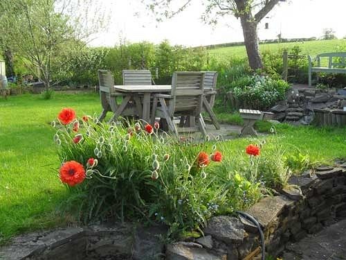 Pension Rhedyn Guest House