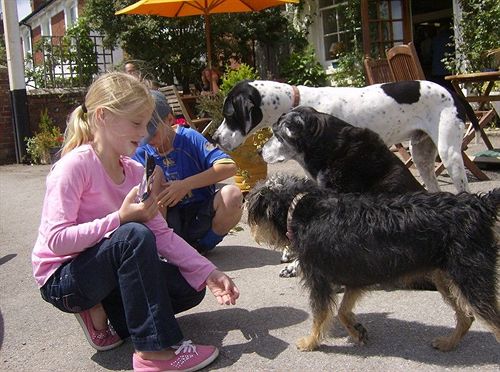 Bed & Breakfast Taste Of India On The Green 6