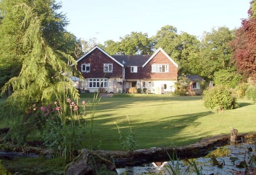 Hotel Little Forest Lodge