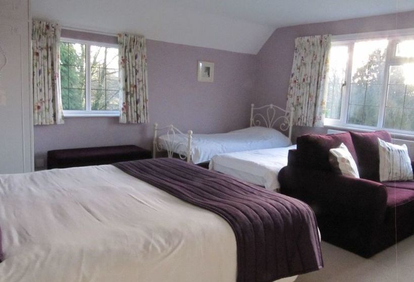 Hotel Little Forest Lodge 12