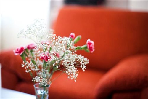 Apartments Vila Piranesi 15