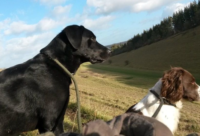 Bed and Breakfast Westover House 7