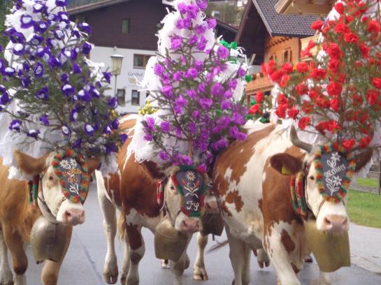 Hotel Haus Hofbichl 11