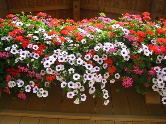 Hotel Haus Hofbichl 2