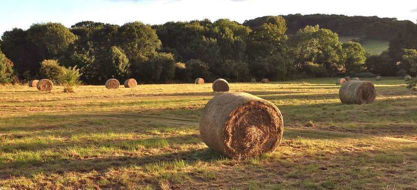 Bed and Breakfast Abbots Grange