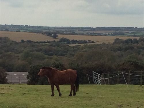 Bed & Breakfast Trenoweth 6