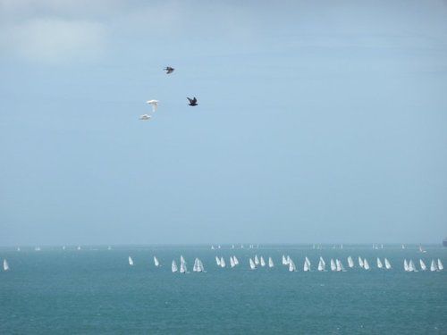 Pension (Hôtel basse catégorie) The Esplanade 18