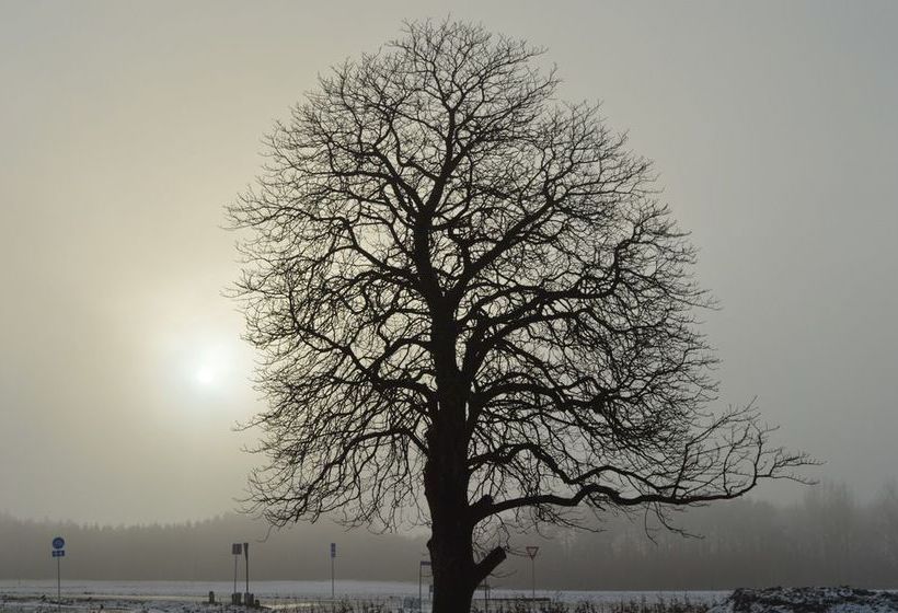 Bed & Breakfast Femhøj 3