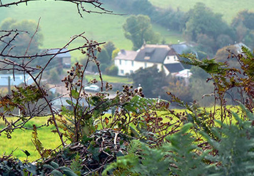 Higher Westcott Farm