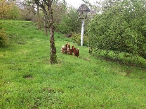 Four Seasons Bed And Breakfast 10