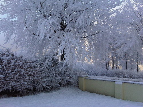 Ardarroch Cottage B&b 4