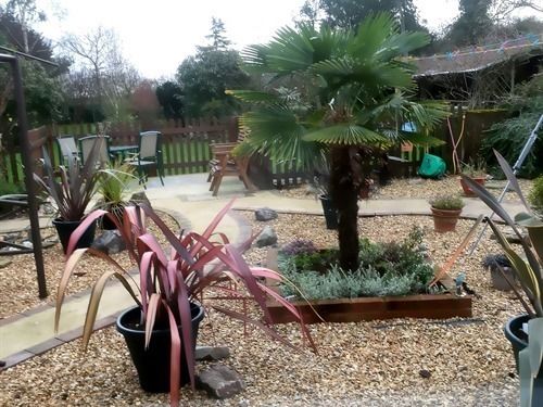 Bed and Breakfast Woodpaddock B And B 10