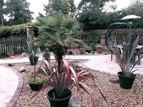 Bed and Breakfast Woodpaddock B And B 7