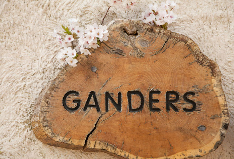 Bed and Breakfast Highway Farm 11