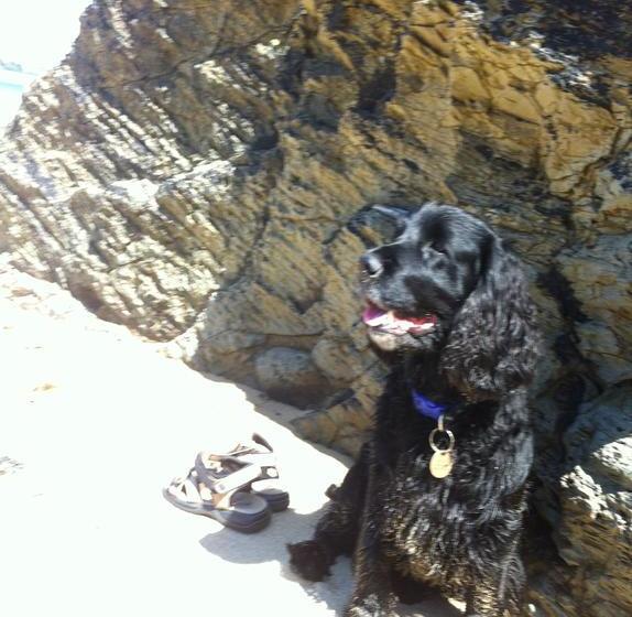 Bed & Breakfast Cally Croft 15