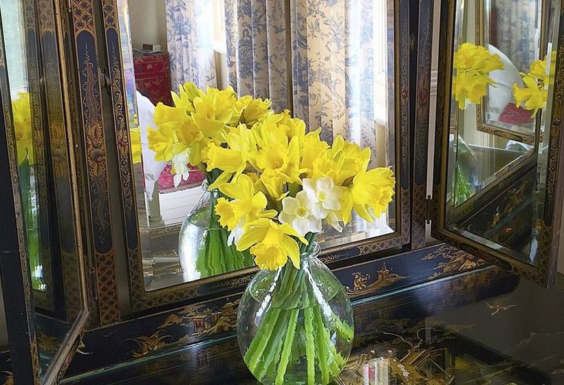 Hotel Bay Tree B&b 8