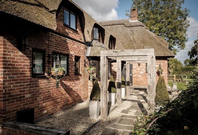 Hotel The Pilgrim Inn 13