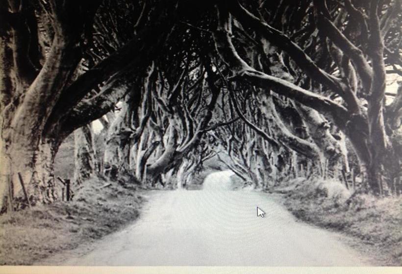 Bed and Breakfast Garron View Bed&Breakfast 14