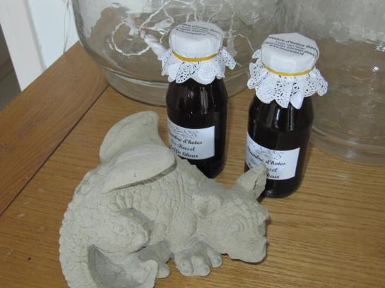 Hotel Chambre Dhotes Bio Beesel 8