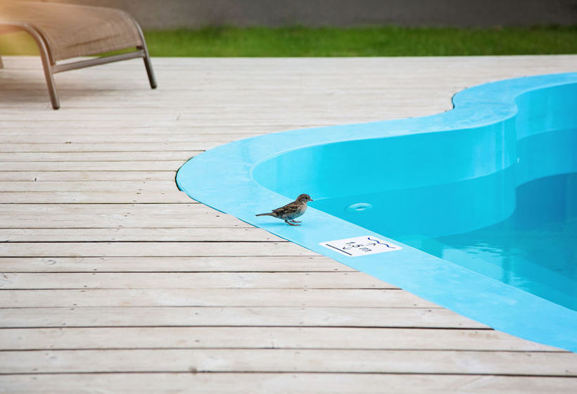 Kurgo Villa Hotel & Restaurant 18