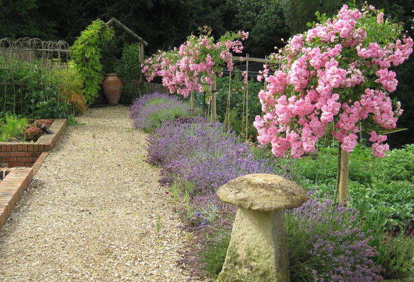 Bed and Breakfast Wooden Cabbage House 10