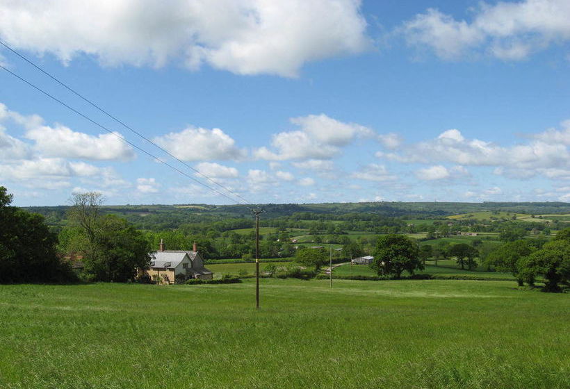 Bed and Breakfast Wooden Cabbage House 12