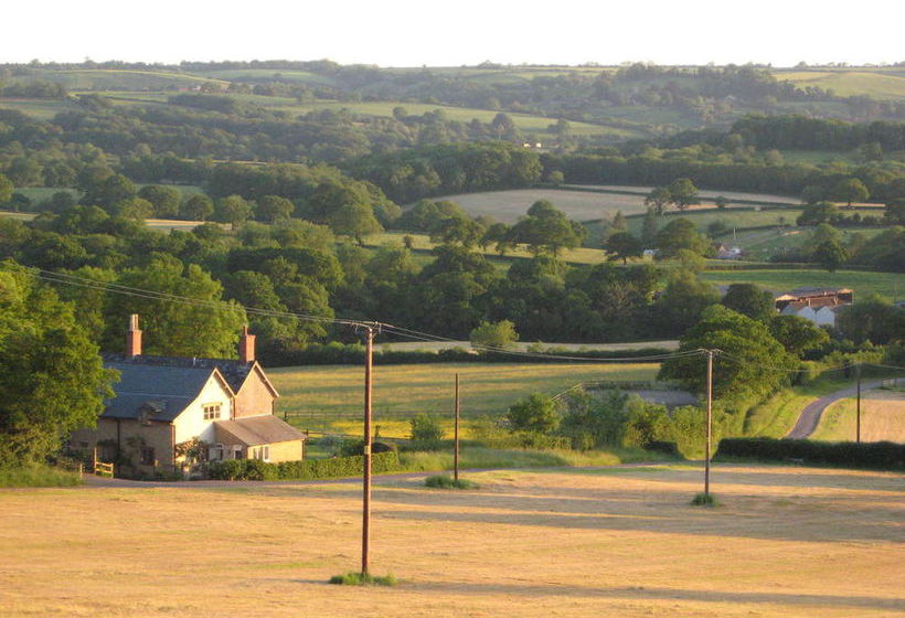 Bed and Breakfast Wooden Cabbage House 13