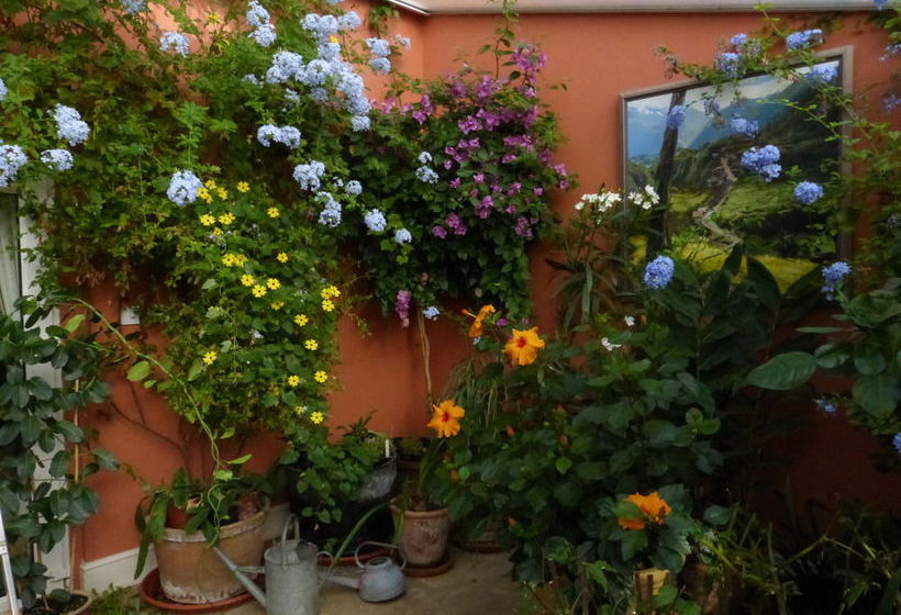 Bed and Breakfast Wooden Cabbage House 14