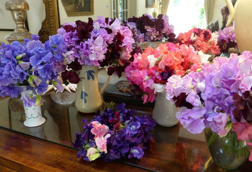 Bed and Breakfast Wooden Cabbage House 20