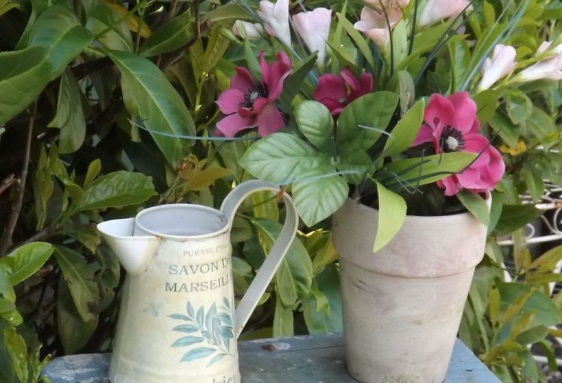 Bed and Breakfast The Coachmans Cottage 5