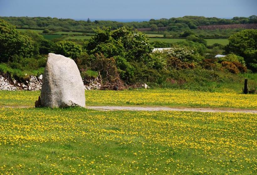 Bed and Breakfast Fig Tree House 1