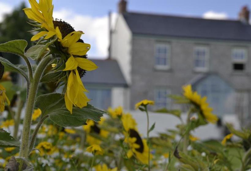 Bed and Breakfast Fig Tree House 10