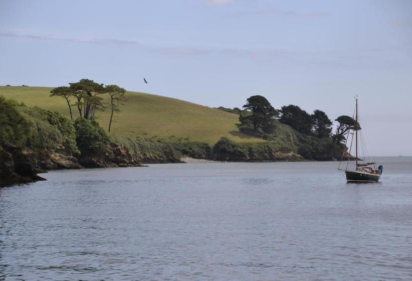 Bed and Breakfast Fig Tree House 11