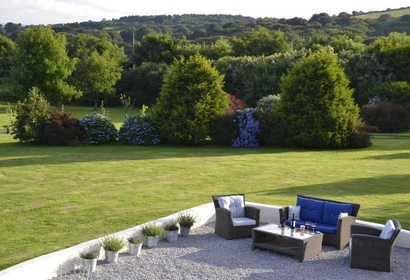 Bed and Breakfast Fig Tree House 12