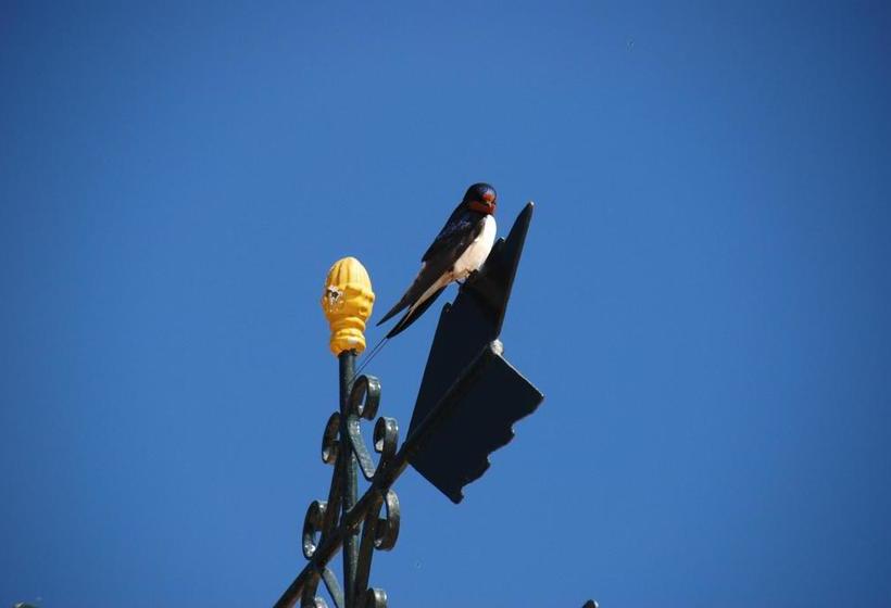 Bed and Breakfast Fig Tree House 3