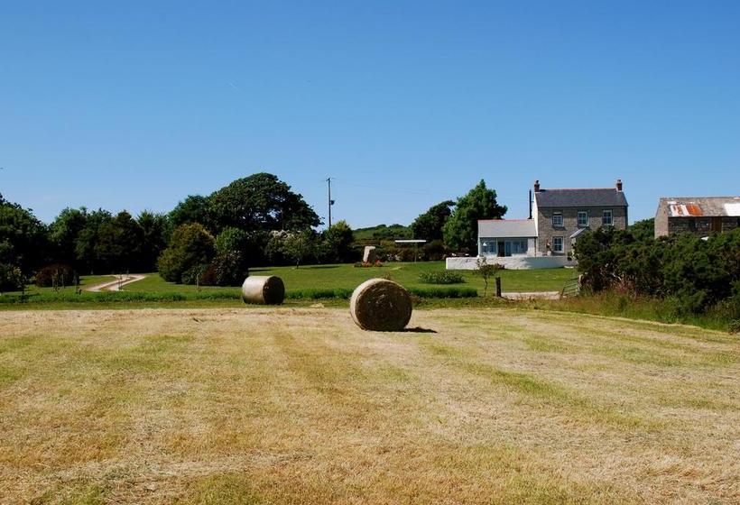 Bed and Breakfast Fig Tree House 8