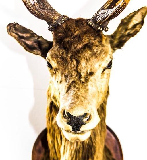 Hotel Restaurant Engelanderhof 1