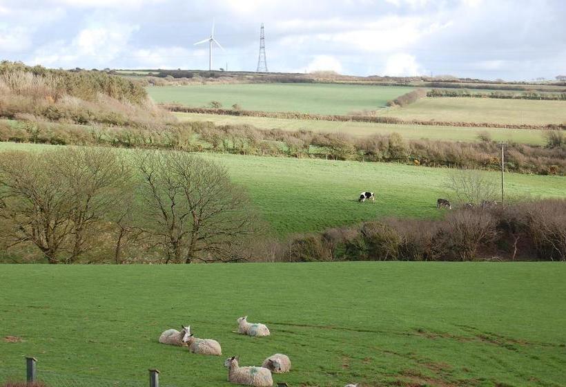 Cornish Valley View B&b 14