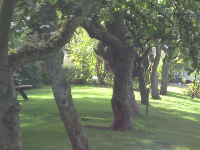 Bed and Breakfast Eagle Mill 11