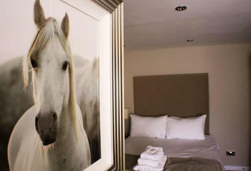 Inn O'gradys Guesthouse Ilford 17