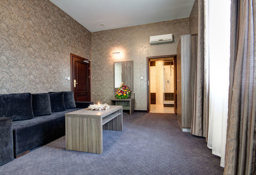 Hotel Palac Brzezina 10