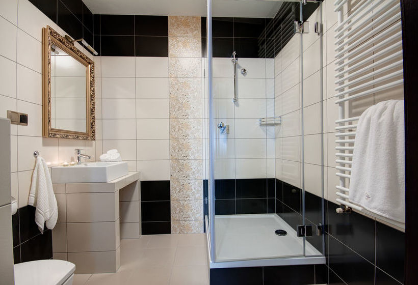 Hotel Palac Brzezina 13