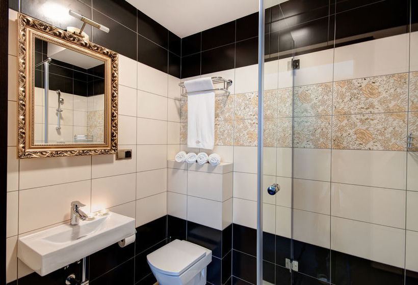 Hotel Palac Brzezina 14