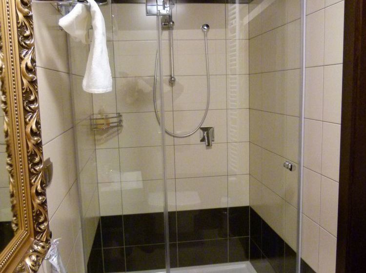 Hotel Palac Brzezina 15