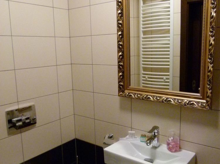 Hotel Palac Brzezina 16