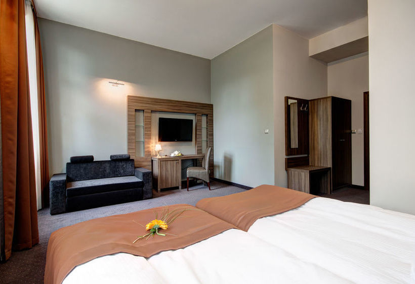 Hotel Palac Brzezina 4