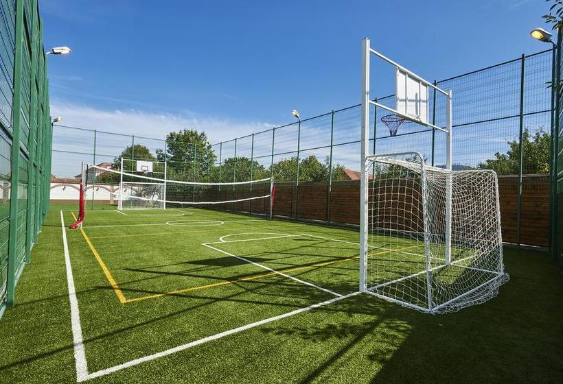 Hôtel Conacul Ambient 10