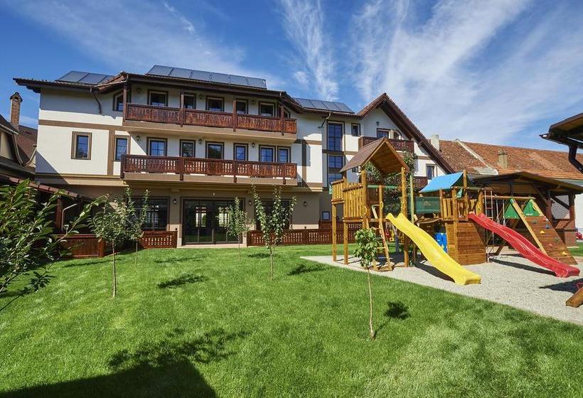 Hôtel Conacul Ambient 11